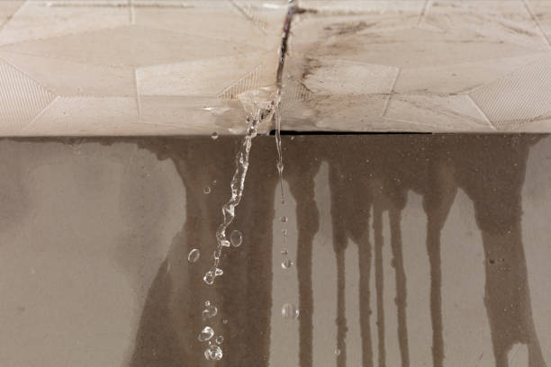 Professional Sewage Cleanup technician working in Trenton, AL